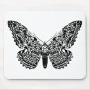 Recherche de mites tapis souris Nature