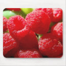 Search for giants mousepads Photography