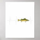 Search for freshwater fish posters Fisherman