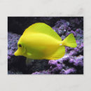 Search for under the sea birthday cards Coral reef