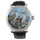 Search for avian watches Danita delimont
