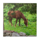 Search for horse tiles Country
