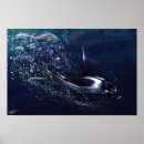 Search for stingray fish posters Blue