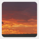 Search for acacia stickers Silhouette