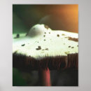 Search for mycology posters Mushroom