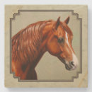 Search for chestnut coasters Equestrian