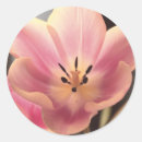 Search for purple tulips stickers Floral