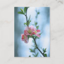 Search for apple tree business cards Flower