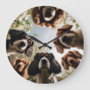 Recherche de mura horloges Animal