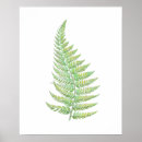Search for botanica posters Leaf
