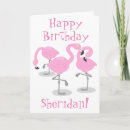 Search for funny flamingo birthday cards Birds