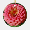 Search for gardening ornaments Zinnia