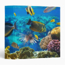 Search for dive binders Fish