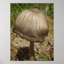 Search for glisten art Nature