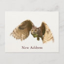 Search for attractive invitations Beautiful