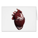 Recherche de circulation sanguine Biologie