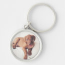 Search for vizslas keychains Animal