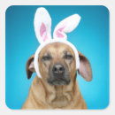 Search for bunny ears stickers Dog