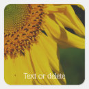 Search for flower petals stickers Floral