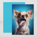 Recherche de chihuahua invitations Animaux domestiques