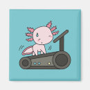Search for salamanders magnets Funny
