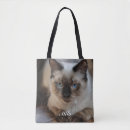 Recherche de ragdoll sacs Mignon