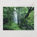 Recherche de pali cartes postales Hawaïen