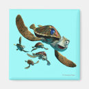 Recherche de barrière magnets Tortue
