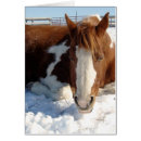 Recherche de cartoon horses cards Peinture