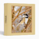 Search for cap binders Black capped chickadee