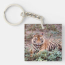 Search for sumatran keychains Nature