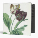 Search for after binders Flowers