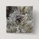 Search for pine square buttons Tree