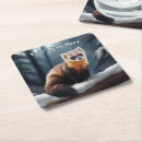 Recherche de mustelids Animaux