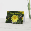 Search for yellow daisy cards Floral