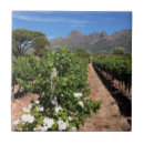 Recherche de vignoble carreaux Agriculture