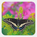 Search for swallowtail stickers Yellow