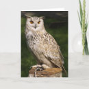 Search for eagle owl cards Bird