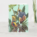 Search for bird paradise cards Tropical