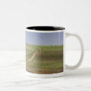 Search for aloe mugs Flower