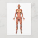 Recherche de tendon cartes postales Médical