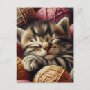 Search for kitten with yarn postcards Cat
