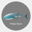 Search for ocean background stickers Sealife