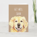 Search for golden retriever get well cards Illness