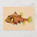 Search for wrap postcards Ocean