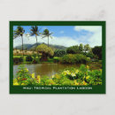 Recherche de jardin des plantes cartes postales Jardins