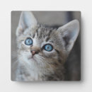 Recherche de pets baby kids Kit