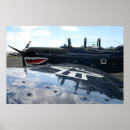 Search for warbirds posters Flying