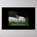 Recherche de pâques de lapin posters Lapins