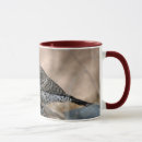 Search for desert birds mugs Arizona
